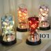 Eternal Rose Bouquet In Glass Dome, A Creative Commemorative Gift For Mothers And Teachers On Women's Day, Birthday_desvips.com