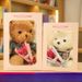 Teddy Bear Plush Toy Box, Stuffed Toy, Birthday Gift For Boyfriend, Girlfriend, Or Best Friend_desvips.com