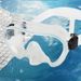 Adult One-Piece Snorkeling Mask With HD Tempered Glass Goggles Professional Diving Gear_desvips.com