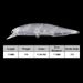 Chan’sHuang 20PCS Unpainted Blanks Bait 11cm/12g Transparent Floating Rattles Minnow DIY Handmade Artificial Fishing_desvips.com