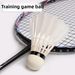 Cross-Border Hot Sale Competition 50 Duck Feather Stable Flight Indoor And Outdoor Practice Badminton 12-Pack_desvips.com