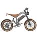 M20 Electric Dirt Bike 20inch With 48V 18.2AH Battery_desvips.com