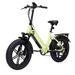 Bodywel F20PRO Fat Tire Touring Ebike 250W 48V18AH Battery_desvips.com