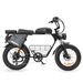 Hidoes HD-B9 Electric Dirt Bike, 48V 33.8Ah Dual Battery, 20"x4.0" All-Terrain Tires_desvips.com