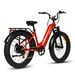 Bodywel D9 Electric Bike With 48V 15Ah Removable Battery,LED Display & App Connectivity_desvips.com