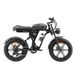 SINOHON AB20 Off-Road Electric Fat Bike With 48V 18Ah Removable Battery_desvips.com
