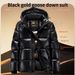 Black Gold Goose 90% Lockdown Winter Hooded Short Jacket Men's Warm Coat Workwear Filled With Down_desvips.com