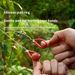 Hand-Pulled Steel Chain Rope Wire Strip Saw Gear Outdoor Survival Supplies_desvips.com
