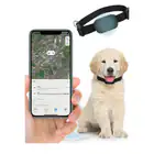 Gps Trackers_desvips