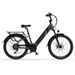 Lankeleisi ES500 Pro 24" Electric Trekking Bike 250W 48V14.5Ah Battery_desvips.com