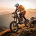 Shengmilo S900 E-Mountain Bike 60V 30Ah Battery 1500W 65km/h Max Speed Dual Suspension 20*4.0 Fat Tire Adult Electric Bicycles_desvips.com