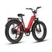 Bodywel D9 Electric Bike With 48V 15Ah Removable Battery,LED Display & App Connectivity_desvips.com