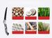 1pcs Three-Sided Grinding Fruit Tree Pruning Garden Foldable Hand Saw_desvips.com