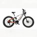 Cyrusher Ranger 2.0 Electric Bike For Adults 26inch-tire 250W Motor 52V 20Ah Battery 9-Speed_desvips.com