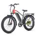 JOBOBIKE Kelper-E42 Adult Electric Bike With 48V 20Ah LG Battery_desvips.com