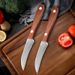 Cross-border Foreign Trade Damascus Steel Curved Blade, Peeling Multi-purpose Kitchen Slicing Knife, Fruit Knife_desvips.com