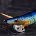 WEIHE10pcs/bag Luminous Wood Shrimp Combo Hard Fishing Lure Set 3 Sizes Squid Hook Fishing Lure Kit_desvips.com