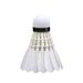 Yashilong RSL Training Practice Badminton Daltongli DTL-85 Single Tube Sold 12 Pieces/Tube_desvips.com