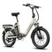 FAFREES F20 Flex Commuting Ebike With 36V 20Ah Battery / 100km Range, Torque Sensor_desvips.com
