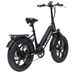 Bodywel F20PRO Fat Tire Touring Ebike 250W 48V18AH Battery_desvips.com