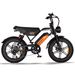 AVDL A50 Off-Road Electric Bike, 48V 15.6Ah Battery, Dual Suspension_desvips.com