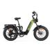 CYRUSHER Kommoda 3.0 20" Electric Cargo Bike 250W Motor 48V 20Ah Battery_desvips.com