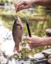 Outdoor Multi-functional Fishing Fire Starter, Wilderness Survival Gear, Waterproof Flint, Tungsten Steel Defense._desvips.com