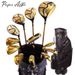 Golf Clubs PeterAllis Titanium Alloy Golf Clubs, Men's Complete Practice Set, Golf Set_desvips.com