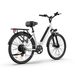 URLIFE E26 City Electric Bike 250W Motor 48V 10.4Ah Battery_desvips.com