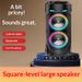 Portable Wireless Bluetooth Karaoke Speaker, Dual 4" Speakers, RGB LED Lights, Wired Mic, HiFi Stereo Bass, For Outdoor, Party, Home, Perfect Gift_desvips.com