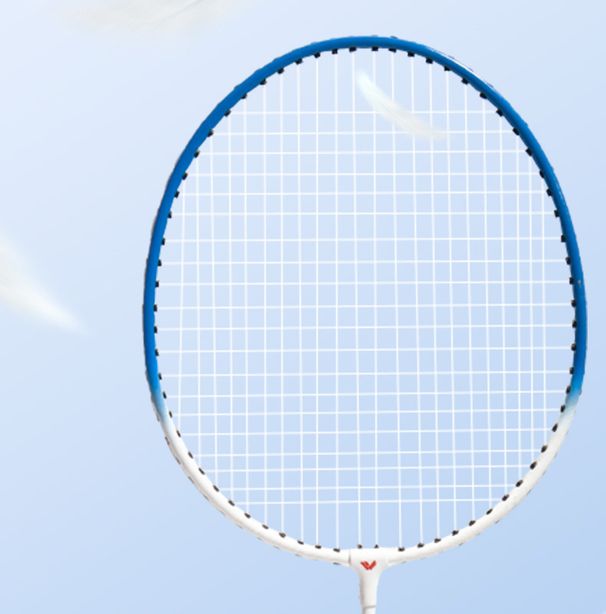 Iron Alloy Double Set Female High Elasticity Resistant To Play Adult Training Outdoor Badminton Racket_desvips.com