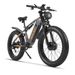 RICH BIT C01 Electric Mountain Bike, 48V 20AH Battery, Full Suspension, Shimano 7-Speed_desvips.com