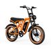 PVY A20 All-Terrain Electric Bike With 48V 20Ah Removable Battery_desvips.com