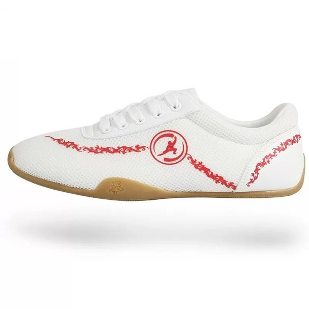 Flat Gym Women Men Canvas Martial Arts Sports Practice Man Kung Fu Shoes Training Wrestling Sneakers Tai Chi_desvips.com