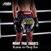2025 New Multi-Color Muay Thai Boxing Competition Training Sanda Clothing Wholesale Shorts European Size Multiple Styles_desvips.com