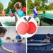 【 3169 People Collection 】 Table Tennis Three-star Four-star Novice Training Children's Adult Exercise Competition_desvips.com