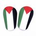 Palestine Flag Mini Shin Guards - Small Football Protective Gear For Training & Matches (8x5cm, 10x6cm, 12x8cm)_desvips.com