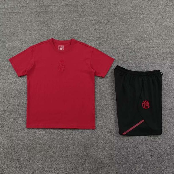 FCB Training Cotton Soccer Suit 2024 2025-haoyun_desvips.com