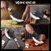 ROCOCO Viking Cleaver Knife Full Tang Kitchen Axe Birthday Gift For Men_desvips.com