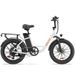URLIFE E20 Commuting Electric Bike 250W Motor 48V 13Ah Battery_desvips.com