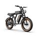 URLIFE T2 Off Road Electric Bike 250W Motor 48V 15.6Ah Battery_desvips.com