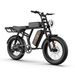 URLIFE T2 Off Road Electric Bike 250W Motor 48V 15.6Ah Battery_desvips.com