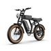 URLIFE T2 Off Road Electric Bike 250W Motor 48V 15.6Ah Battery_desvips.com