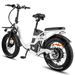 Fafrees F20 X-Max Electric Bike 20*4.0 Inch Fat Tire 750W Brushless Motor 48V 30AH Battery_desvips.com