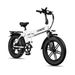 Rincc R200 Folding Electric Bike 750W 48V15Ah Battery 20inch_desvips.com