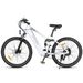 Samebike XD26-II Electric Bike For Adults 750W 26 Inch Electric Mountain Bike Full Suspension,48V 14Ah Battery_desvips.com