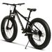 26 Zoll X 4.0 Zoll Fettreifen Mountainbike (MTB) , Hi-Ten 6061 Aluminium Hardtail, Shimano 2x8 Gangschaltung, 80mm Federgabel, 160mm Scheibenbremsen_desvips.com