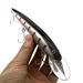 AOCLU-Hard Bait For Deep Sea Boat, Floating Minnow, Jerkbait Rattle, Rock Lure, 4X Treble Hooks, Japan Quality, 150mm, 33g, 1Pc_desvips.com