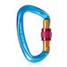 CP Master D-shaped Aluminum Hook Carabiner Screw Climbing Hanging Camping Equipment Hammock Lock 25kN_desvips.com