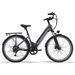 AVDL A32 Step-Thru Electric Bike For City Commuting, 48V 10.4Ah Battery_desvips.com